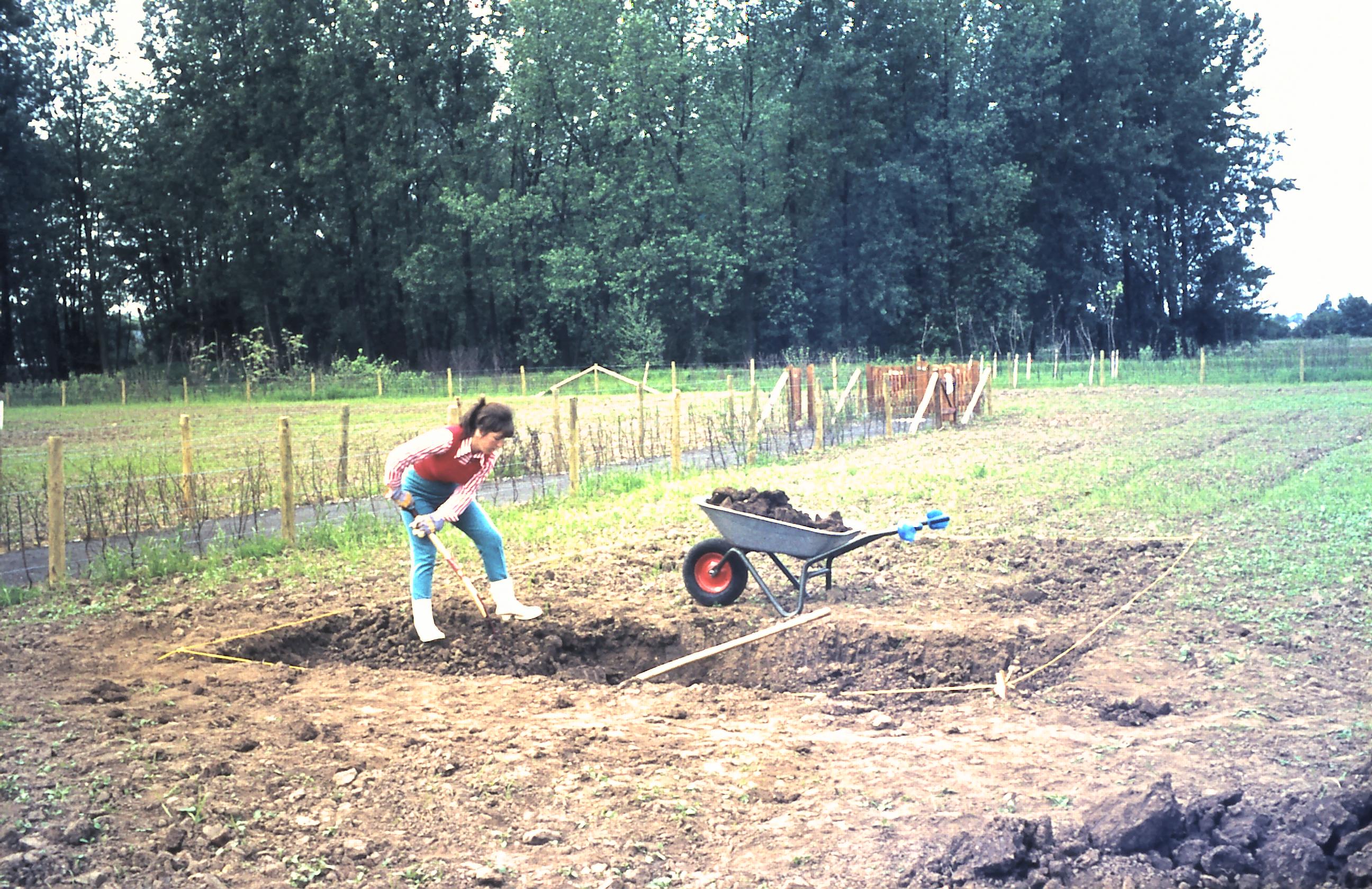 Der Anfang ist nah! Gartengemeinschaft Wolfskuhle e.V. 617